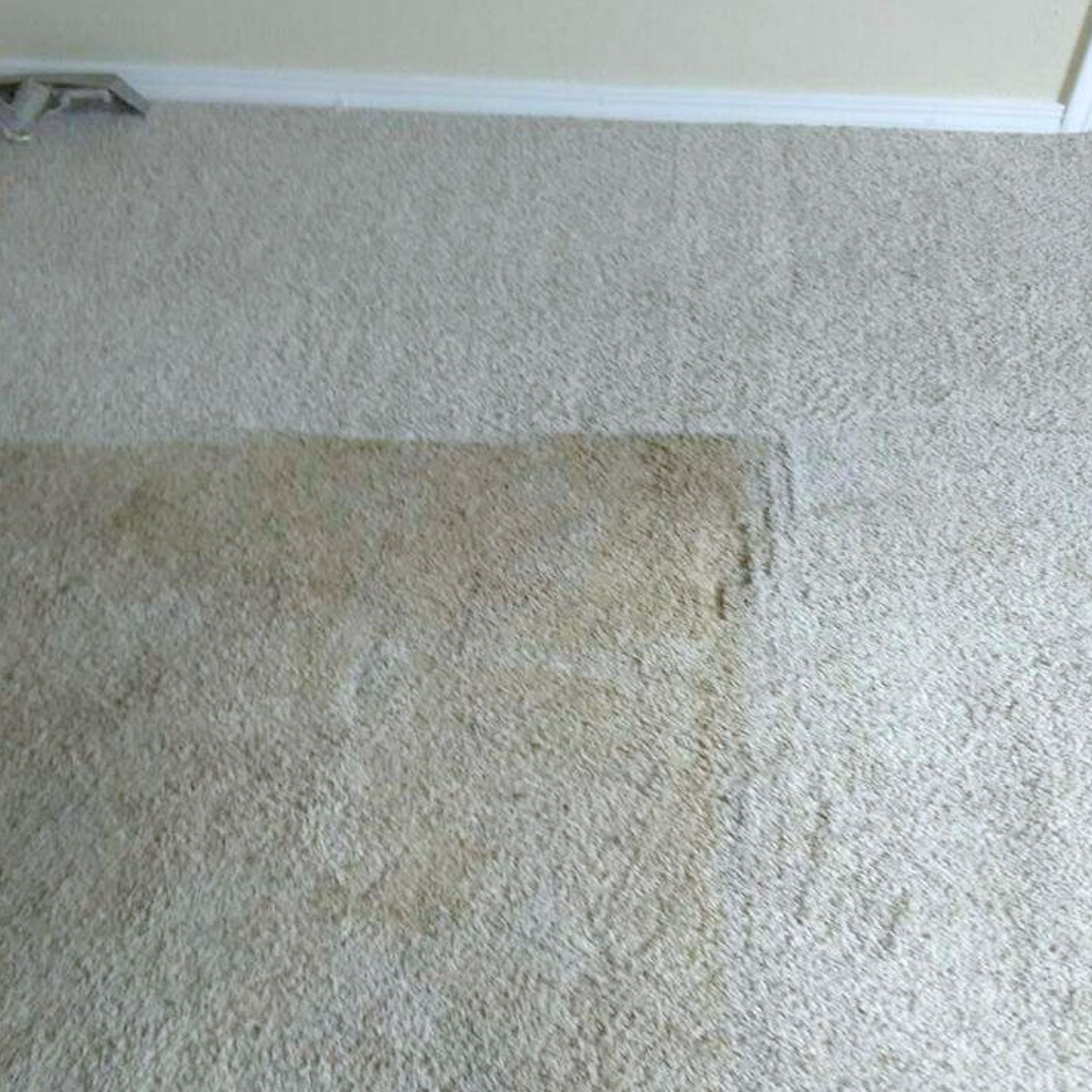 Carpet Cleaning in Northwest Arkansas, Wizard Carpet Cleaning